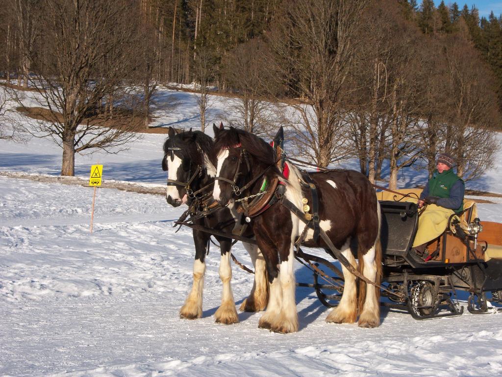 Appartement Zum Roessl Ramsau am Dachstein Rum bild