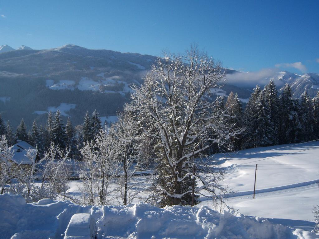 Appartement Zum Roessl Ramsau am Dachstein Rum bild