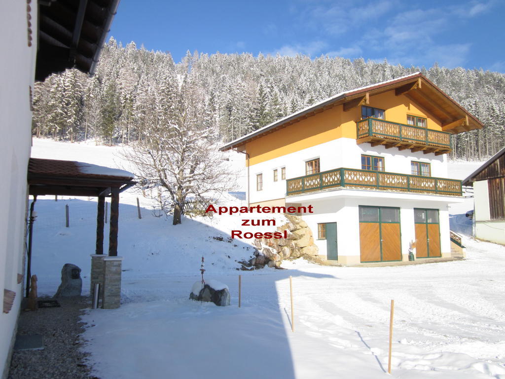 Appartement Zum Roessl Ramsau am Dachstein Rum bild