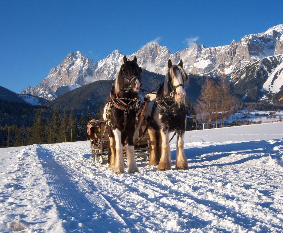 Appartement Zum Roessl Ramsau am Dachstein Exteriör bild